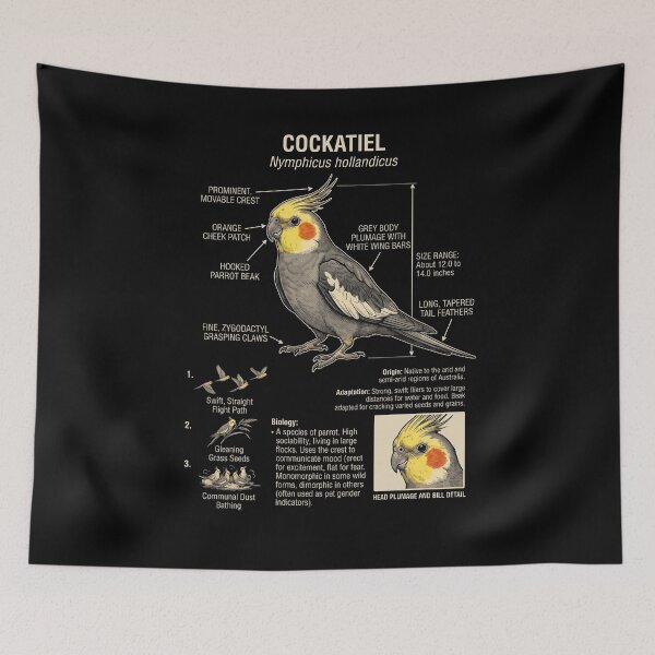 Item preview, Cockatiel Scientific Anatomy Ornithology Parrot Lover designed and sold by dian-rody-crest.