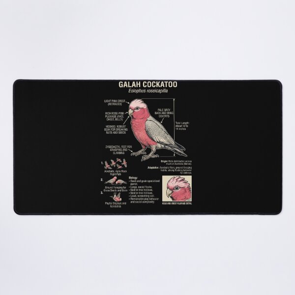 Item preview, Cockatoo Galah Scientific Anatomy Ornithology Parrot Lover designed and sold by dian-rody-crest.
