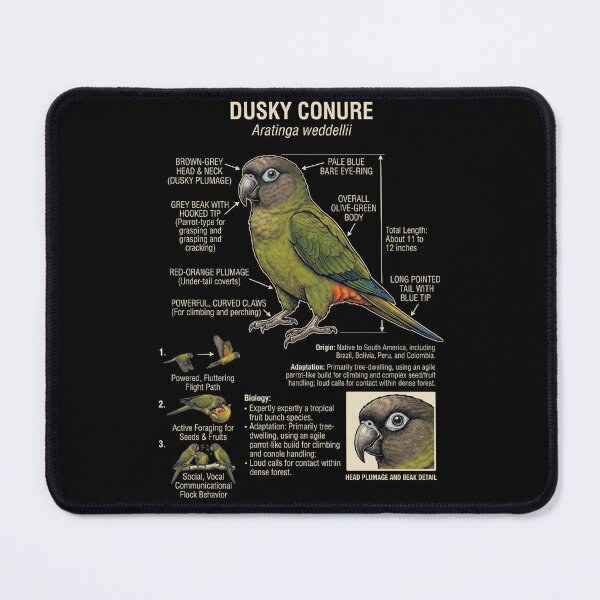 Item preview, Dusky Conure Scientific Anatomy Ornithology Parrot Lover designed and sold by dian-rody-crest.