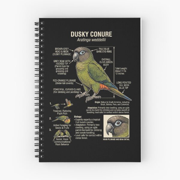 Item preview, Dusky Conure Scientific Anatomy Ornithology Parrot Lover designed and sold by dian-rody-crest.