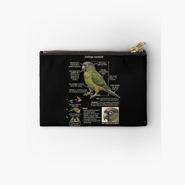 Item preview, Dusky Conure Scientific Anatomy Ornithology Parrot Lover designed and sold by dian-rody-crest.
