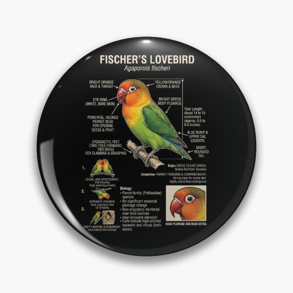 Item preview, Fischer's Lovebird Scientific Anatomy Ornithology Parrot Lover designed and sold by dian-rody-crest.