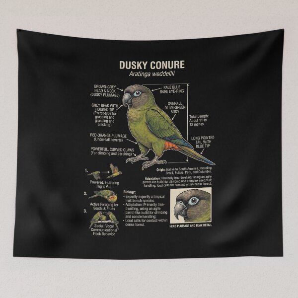 Item preview, Dusky Conure Scientific Anatomy Ornithology Parrot Lover designed and sold by dian-rody-crest.