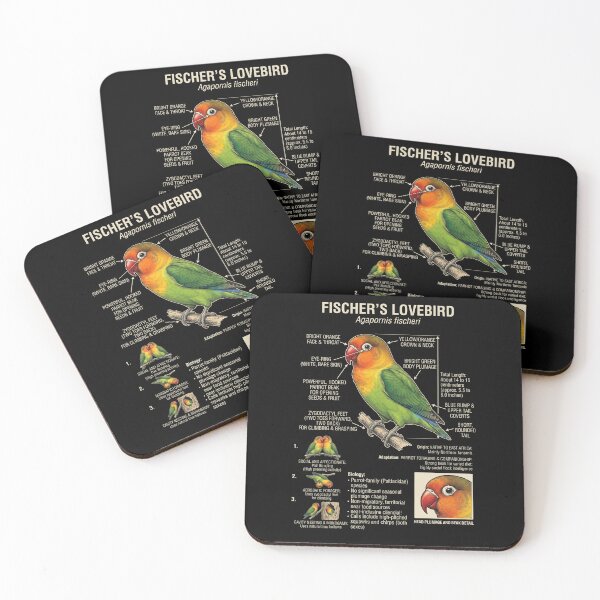Item preview, Fischer's Lovebird Scientific Anatomy Ornithology Parrot Lover designed and sold by dian-rody-crest.
