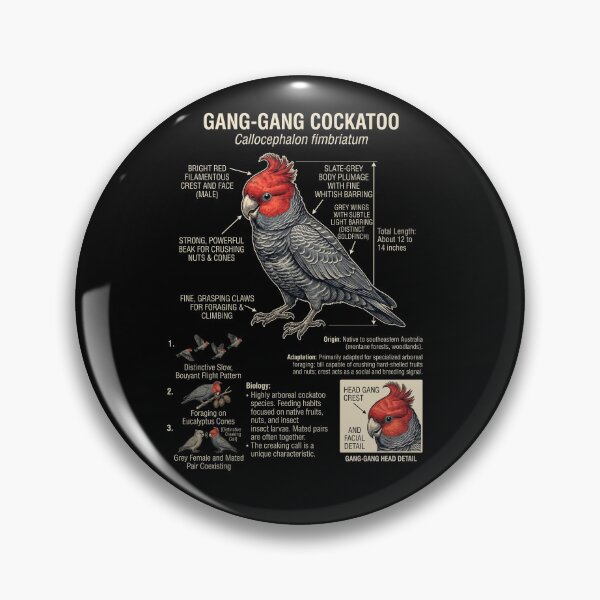 Item preview, Gang gang Cockatoo Scientific Anatomy Ornithology Parrot Lover designed and sold by dian-rody-crest.