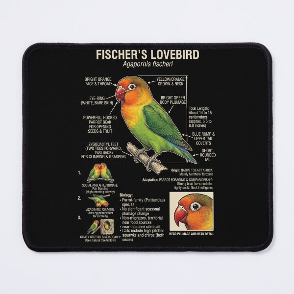 Item preview, Fischer's Lovebird Scientific Anatomy Ornithology Parrot Lover designed and sold by dian-rody-crest.