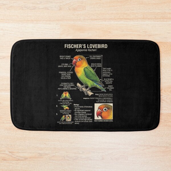 Item preview, Fischer's Lovebird Scientific Anatomy Ornithology Parrot Lover designed and sold by dian-rody-crest.