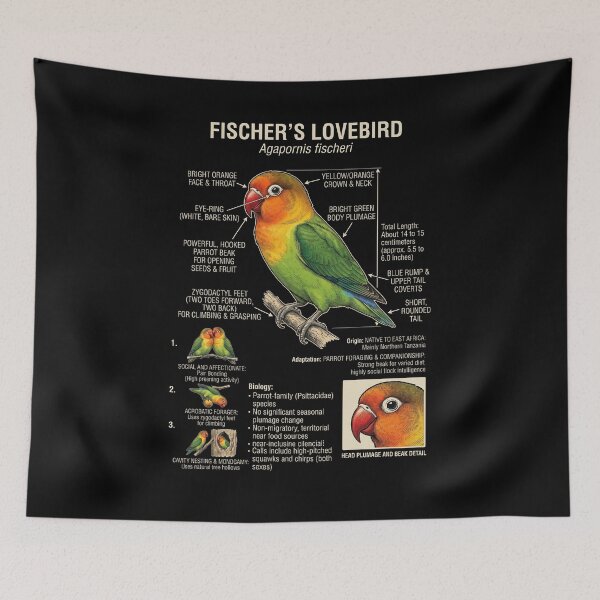 Item preview, Fischer's Lovebird Scientific Anatomy Ornithology Parrot Lover designed and sold by dian-rody-crest.