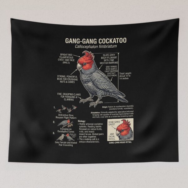 Item preview, Gang gang Cockatoo Scientific Anatomy Ornithology Parrot Lover designed and sold by dian-rody-crest.
