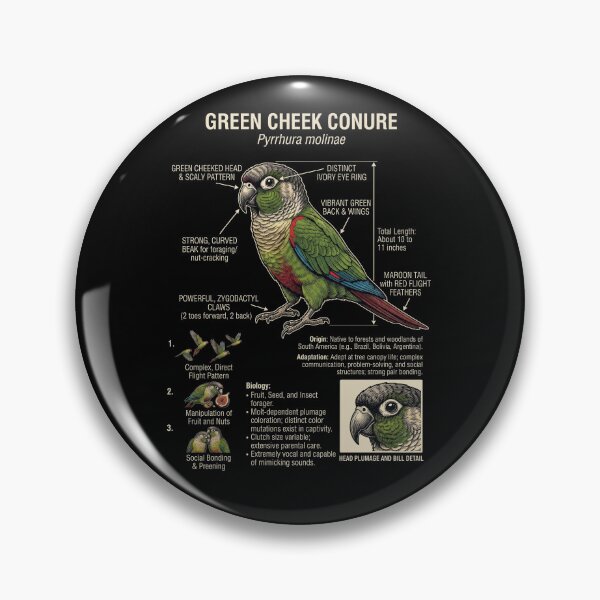 Item preview, Green Cheek Conure Scientific Anatomy Ornithology Parrot Lover designed and sold by dian-rody-crest.