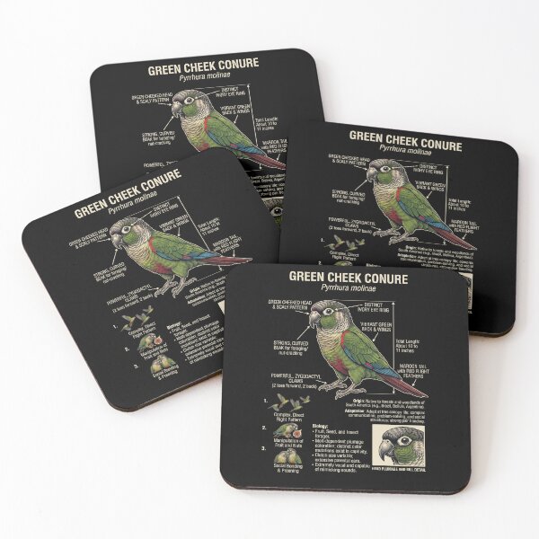 Item preview, Green Cheek Conure Scientific Anatomy Ornithology Parrot Lover designed and sold by dian-rody-crest.