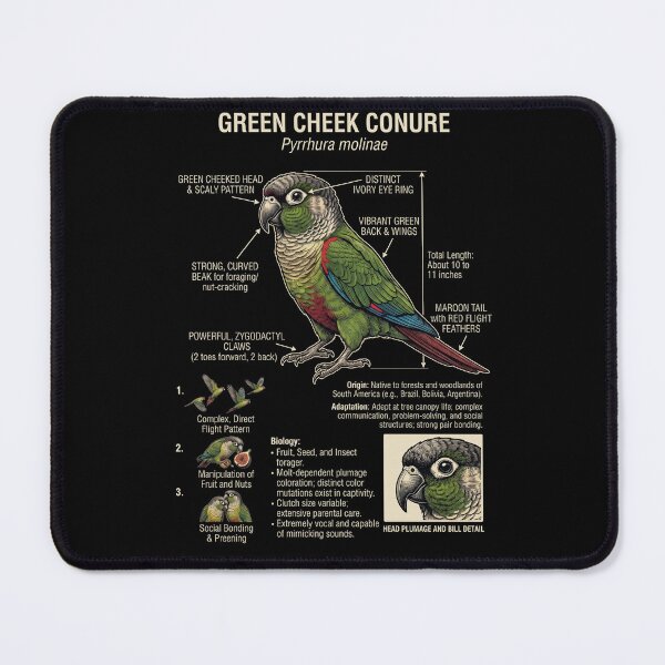 Item preview, Green Cheek Conure Scientific Anatomy Ornithology Parrot Lover designed and sold by dian-rody-crest.