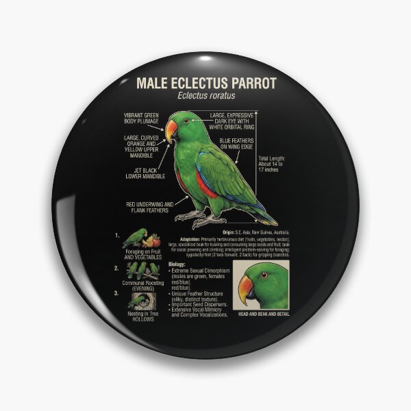 Item preview, Green Eclectus Scientific Anatomy Ornithology Parrot Lover designed and sold by dian-rody-crest.