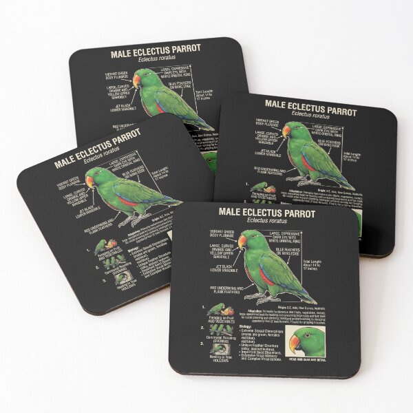 Item preview, Green Eclectus Scientific Anatomy Ornithology Parrot Lover designed and sold by dian-rody-crest.
