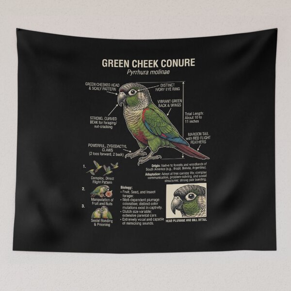 Item preview, Green Cheek Conure Scientific Anatomy Ornithology Parrot Lover designed and sold by dian-rody-crest.