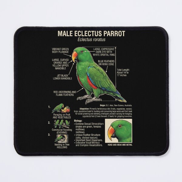 Item preview, Green Eclectus Scientific Anatomy Ornithology Parrot Lover designed and sold by dian-rody-crest.