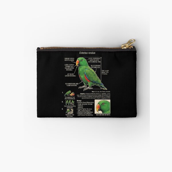 Item preview, Green Eclectus Scientific Anatomy Ornithology Parrot Lover designed and sold by dian-rody-crest.