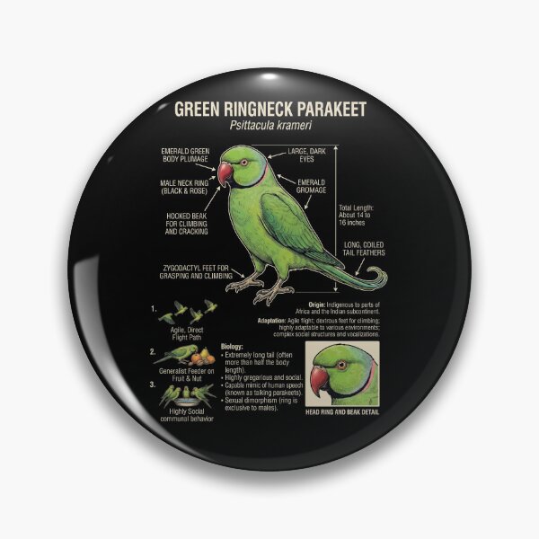 Item preview, Green Ringneck Parakeet Scientific Anatomy Ornithology Parrot Lover designed and sold by dian-rody-crest.