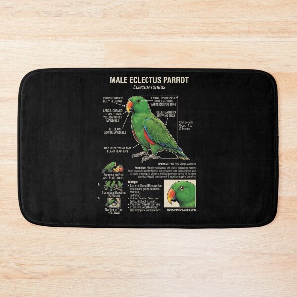 Item preview, Green Eclectus Scientific Anatomy Ornithology Parrot Lover designed and sold by dian-rody-crest.
