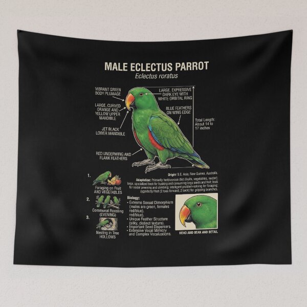Item preview, Green Eclectus Scientific Anatomy Ornithology Parrot Lover designed and sold by dian-rody-crest.