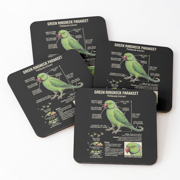 Item preview, Green Ringneck Parakeet Scientific Anatomy Ornithology Parrot Lover designed and sold by dian-rody-crest.