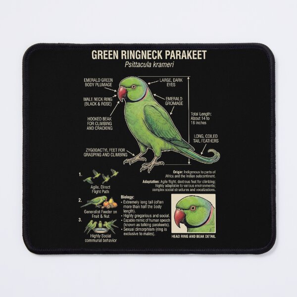 Item preview, Green Ringneck Parakeet Scientific Anatomy Ornithology Parrot Lover designed and sold by dian-rody-crest.
