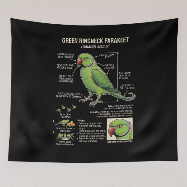 Item preview, Green Ringneck Parakeet Scientific Anatomy Ornithology Parrot Lover designed and sold by dian-rody-crest.