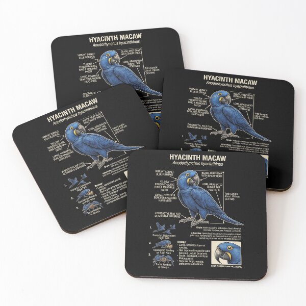 Item preview, Hyacinth Macaw Scientific Anatomy Ornithology Parrot Lover designed and sold by dian-rody-crest.