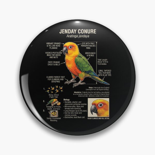 Item preview, Jenday Conure Scientific Anatomy Ornithology Parrot Lover designed and sold by dian-rody-crest.