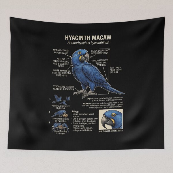 Item preview, Hyacinth Macaw Scientific Anatomy Ornithology Parrot Lover designed and sold by dian-rody-crest.