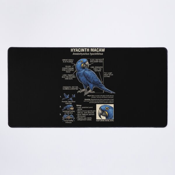 Item preview, Hyacinth Macaw Scientific Anatomy Ornithology Parrot Lover designed and sold by dian-rody-crest.
