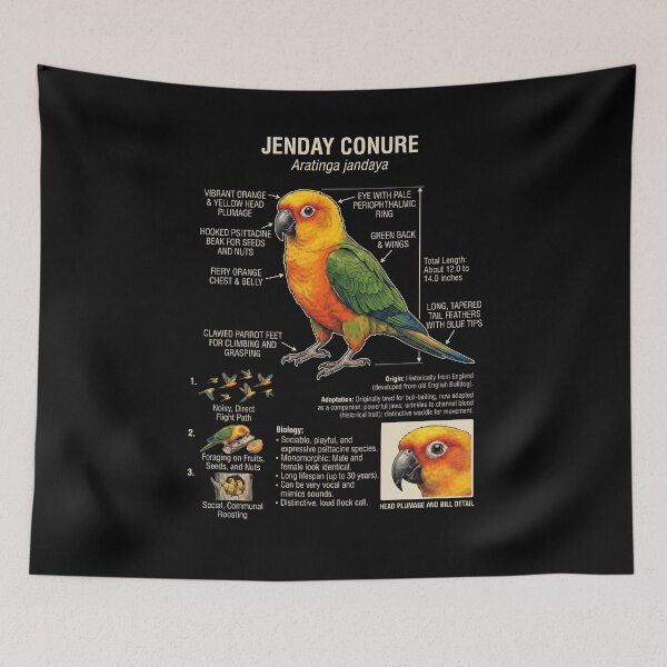 Item preview, Jenday Conure Scientific Anatomy Ornithology Parrot Lover designed and sold by dian-rody-crest.