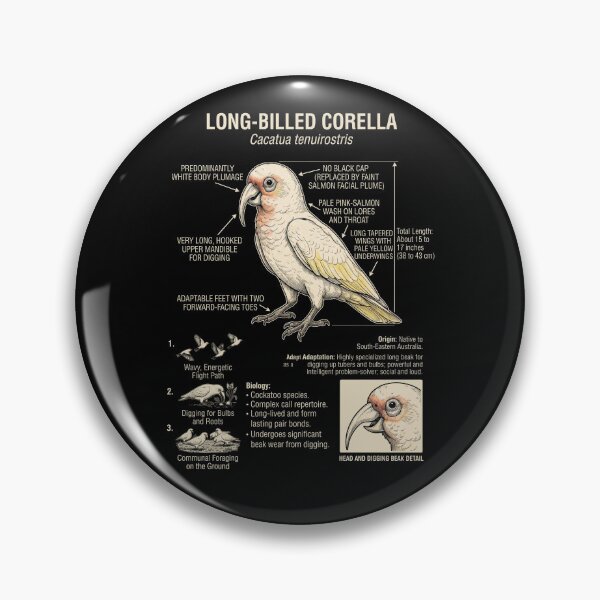 Item preview, Long billed Corella Scientific Anatomy Ornithology Parrot Lover designed and sold by dian-rody-crest.
