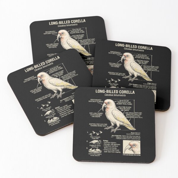 Item preview, Long billed Corella Scientific Anatomy Ornithology Parrot Lover designed and sold by dian-rody-crest.