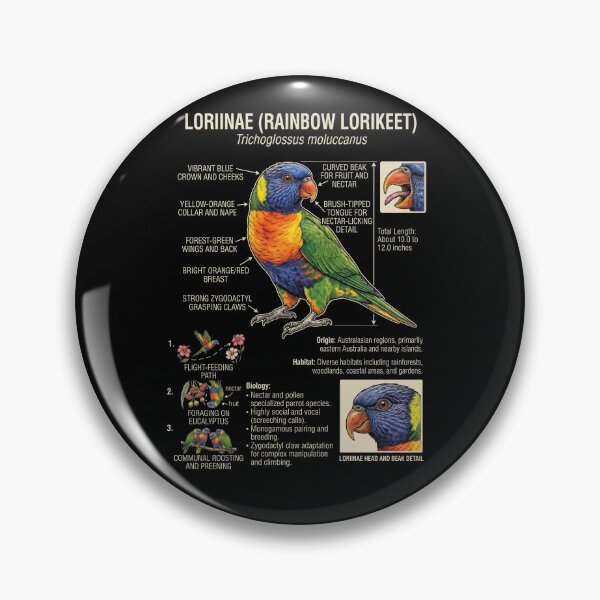 Item preview, Loriinae Scientific Anatomy Ornithology Parrot Lover designed and sold by dian-rody-crest.