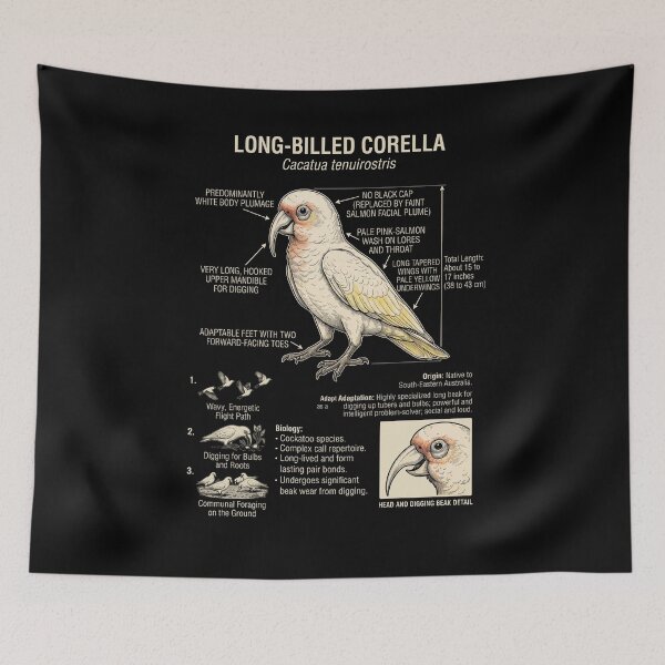 Item preview, Long billed Corella Scientific Anatomy Ornithology Parrot Lover designed and sold by dian-rody-crest.