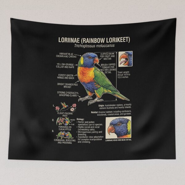 Item preview, Loriinae Scientific Anatomy Ornithology Parrot Lover designed and sold by dian-rody-crest.