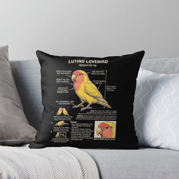 Item preview, Lutino Lovebird Scientific Anatomy Ornithology Parrot Lover designed and sold by dian-rody-crest.
