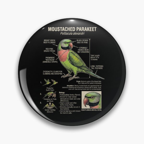 Item preview, Mustached Parakeet Scientific Anatomy Ornithology Parrot Lover designed and sold by dian-rody-crest.