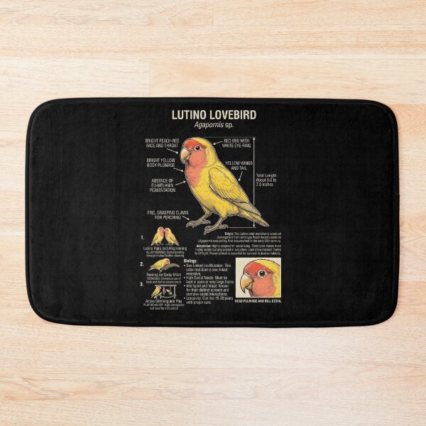 Item preview, Lutino Lovebird Scientific Anatomy Ornithology Parrot Lover designed and sold by dian-rody-crest.