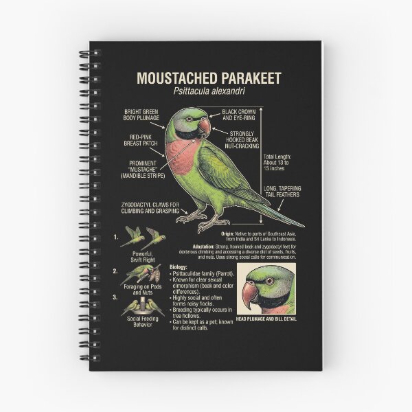 Item preview, Mustached Parakeet Scientific Anatomy Ornithology Parrot Lover designed and sold by dian-rody-crest.