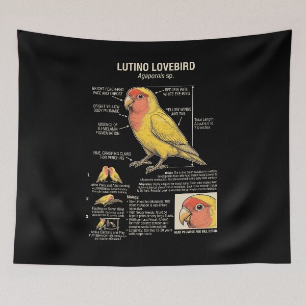 Item preview, Lutino Lovebird Scientific Anatomy Ornithology Parrot Lover designed and sold by dian-rody-crest.