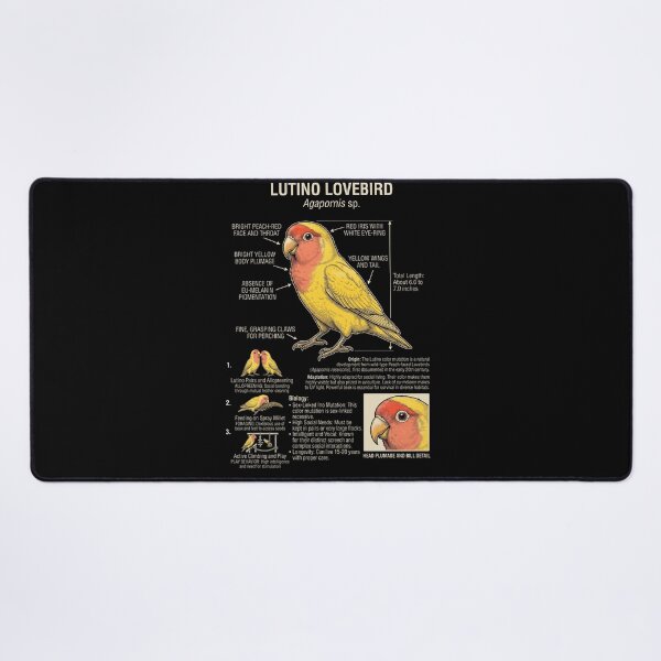Item preview, Lutino Lovebird Scientific Anatomy Ornithology Parrot Lover designed and sold by dian-rody-crest.