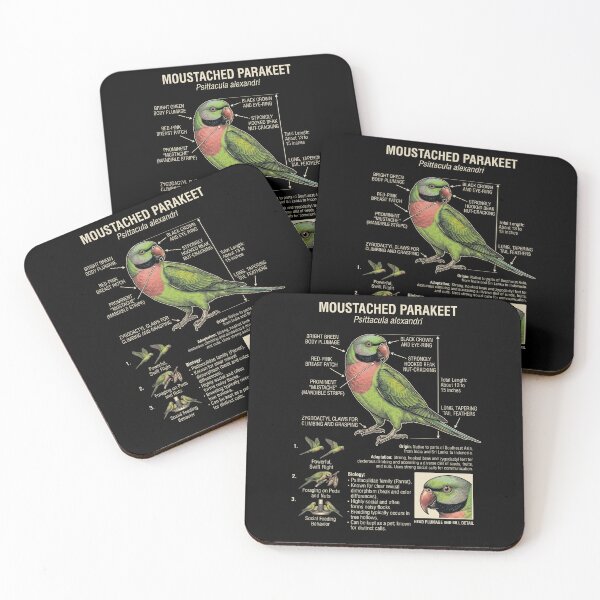 Item preview, Mustached Parakeet Scientific Anatomy Ornithology Parrot Lover designed and sold by dian-rody-crest.
