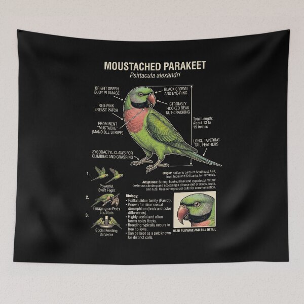 Item preview, Mustached Parakeet Scientific Anatomy Ornithology Parrot Lover designed and sold by dian-rody-crest.