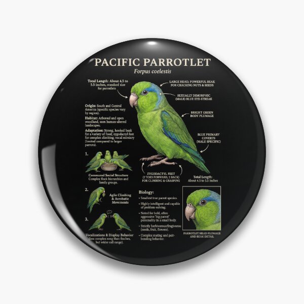 Item preview, Pacific Parrotlet Scientific Anatomy Ornithology Parrot Lover designed and sold by dian-rody-crest.