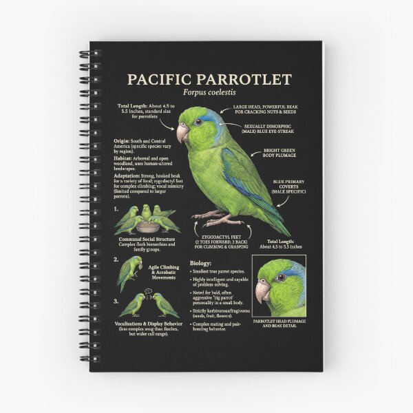 Item preview, Pacific Parrotlet Scientific Anatomy Ornithology Parrot Lover designed and sold by dian-rody-crest.