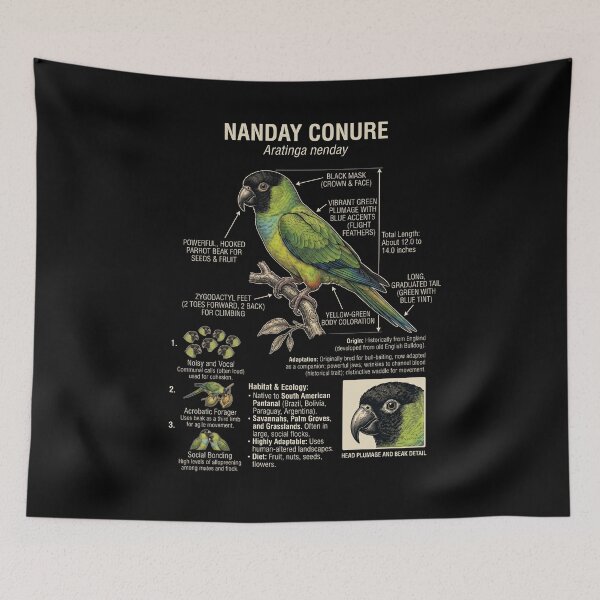 Item preview, Nanday Conure Scientific Anatomy Ornithology Parrot Lover designed and sold by dian-rody-crest.