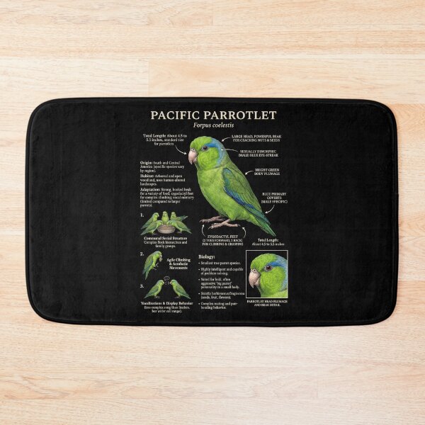 Item preview, Pacific Parrotlet Scientific Anatomy Ornithology Parrot Lover designed and sold by dian-rody-crest.