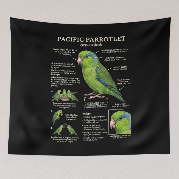 Item preview, Pacific Parrotlet Scientific Anatomy Ornithology Parrot Lover designed and sold by dian-rody-crest.